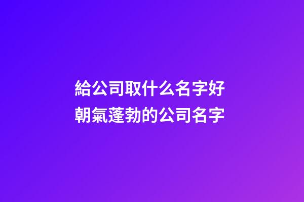 給公司取什么名字好 朝氣蓬勃的公司名字-第1張-公司起名-玄機派